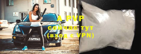 стафф Струнино