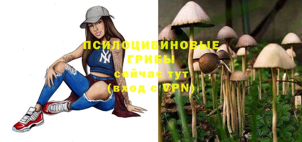 хмурый Армянск