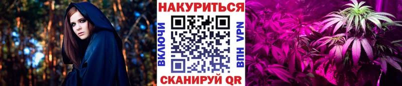 Бошки Шишки марихуана  Перевоз 